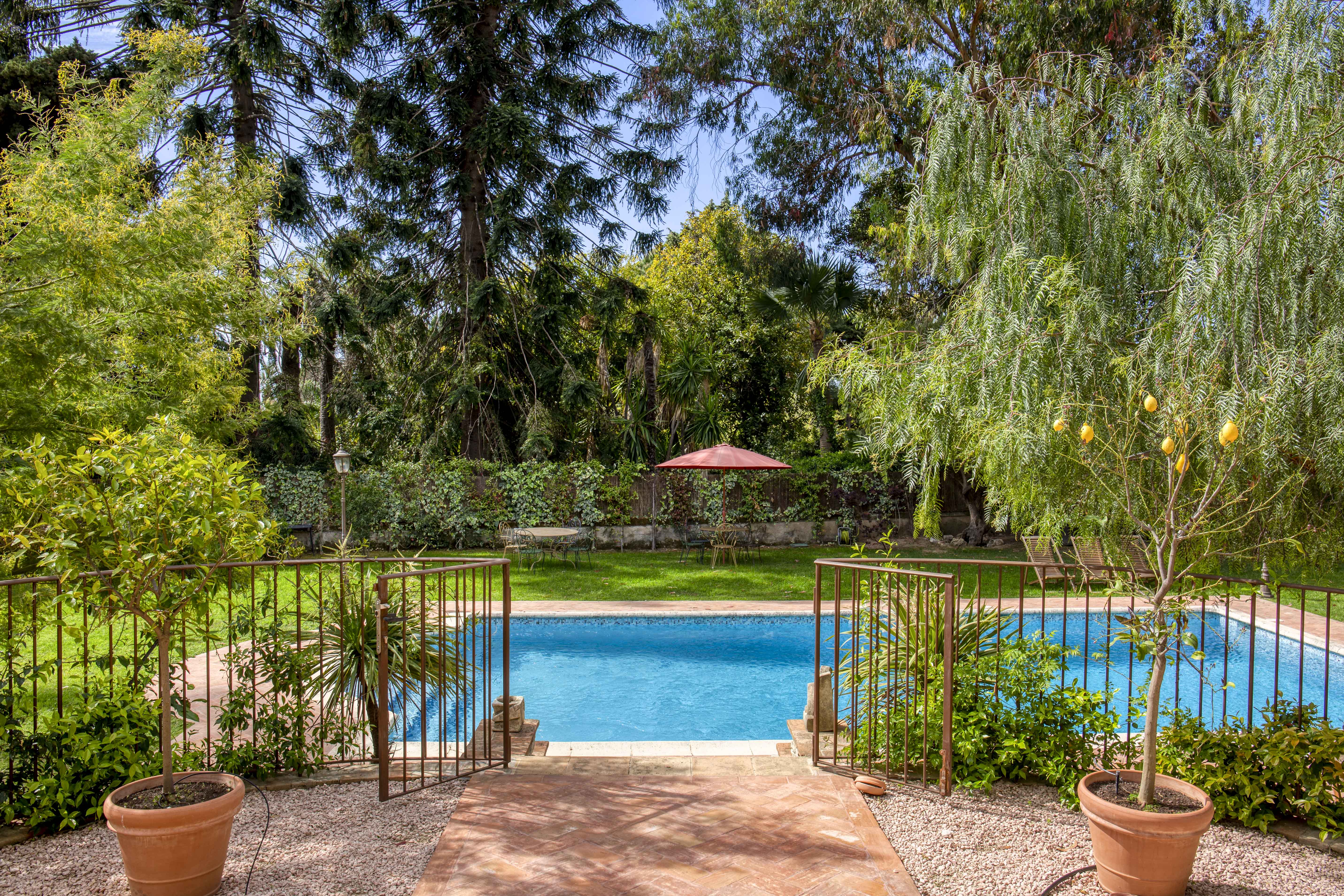 Jardin piscine propriété luxe à vendre Cannes