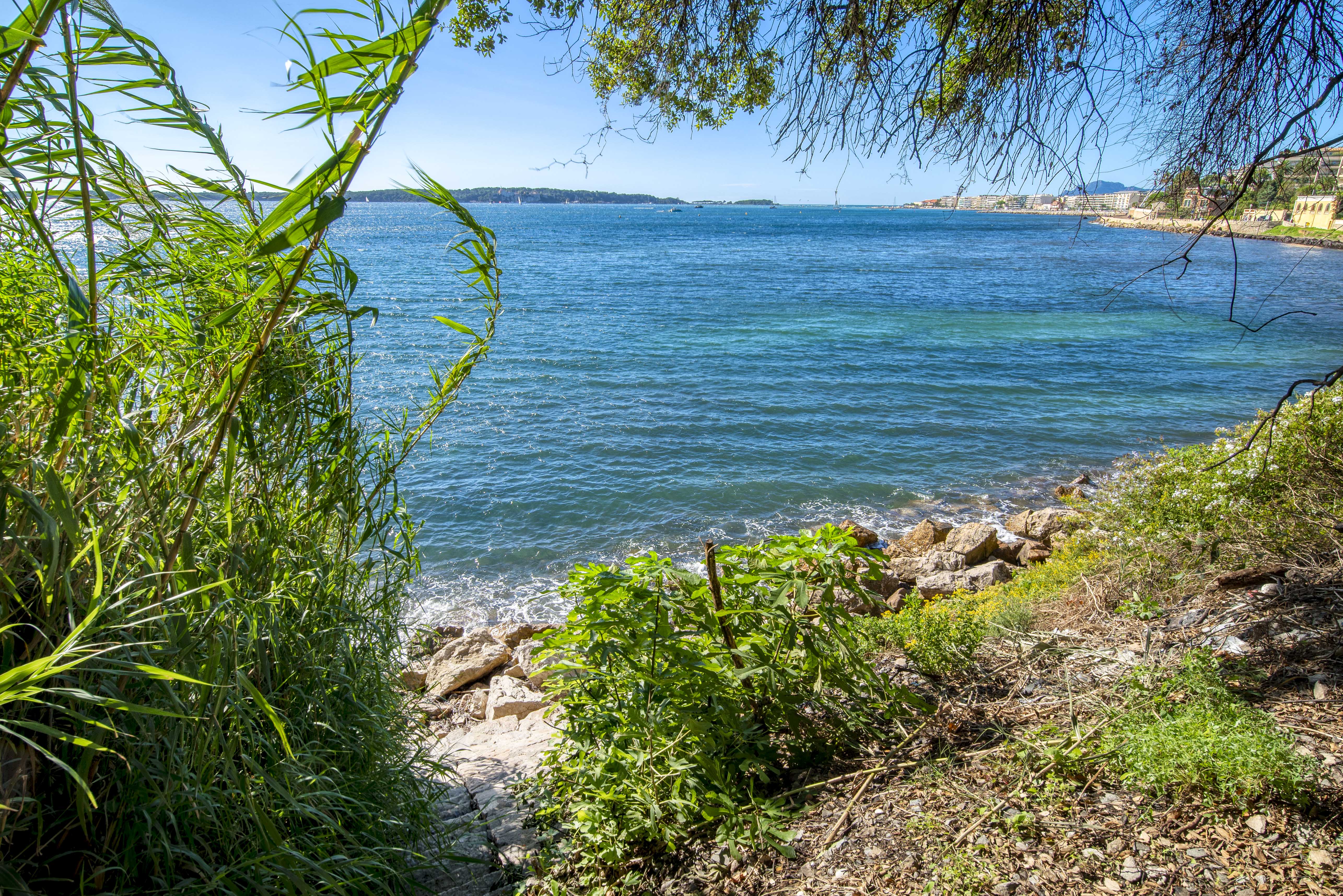 Villa à vendre plage privée Cannes